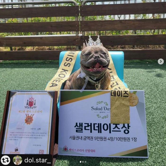 캡처4.JPG